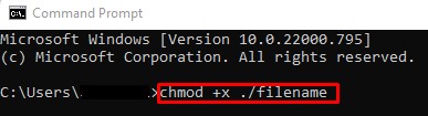 Check Binary File Permission - chmod +x filename