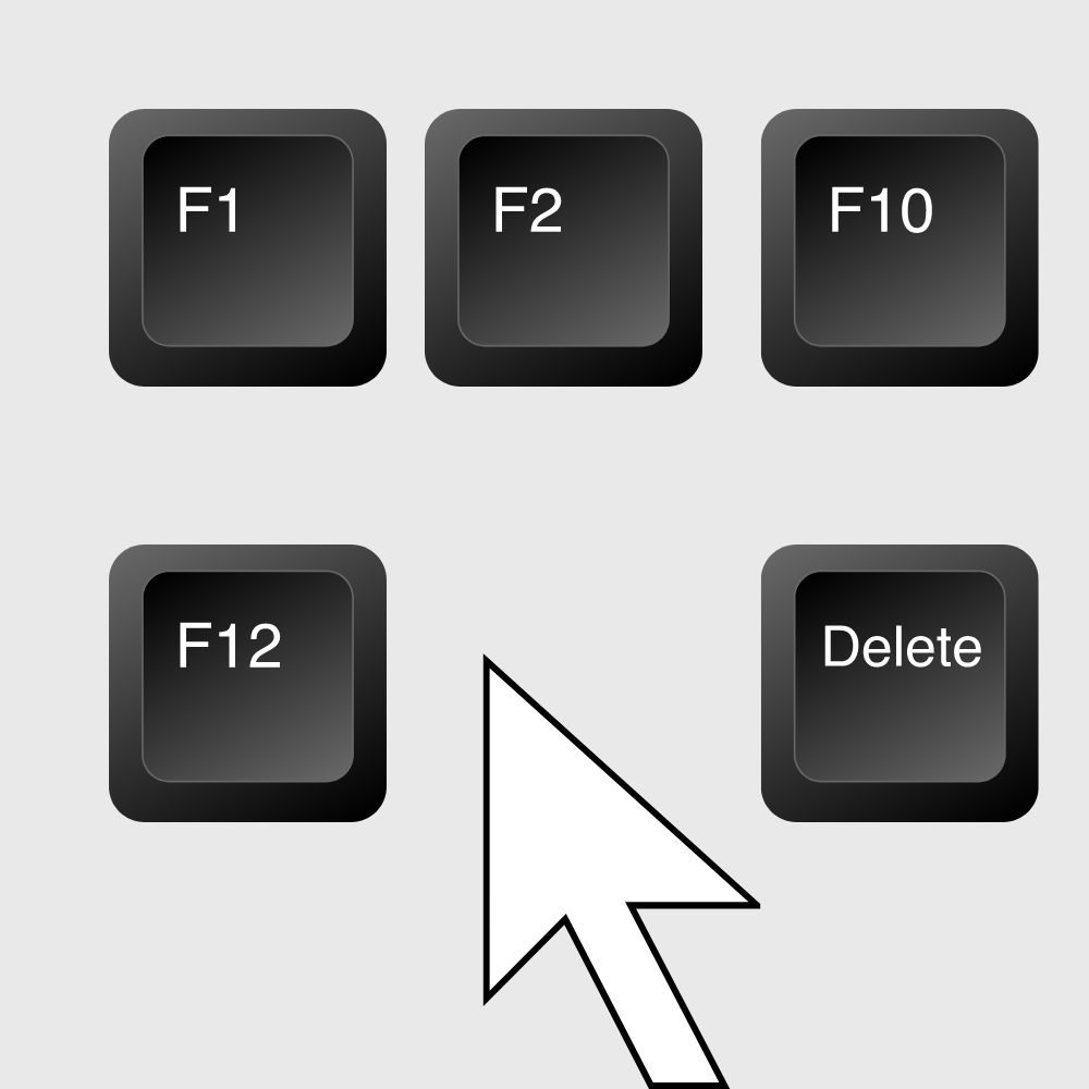 Solution #1 Check BIOS firmware - keyboard f12#1