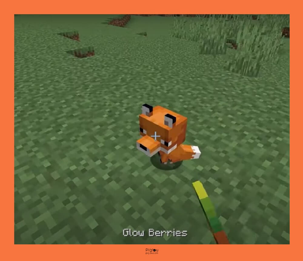Feed foxes with glow berries in Minecraft