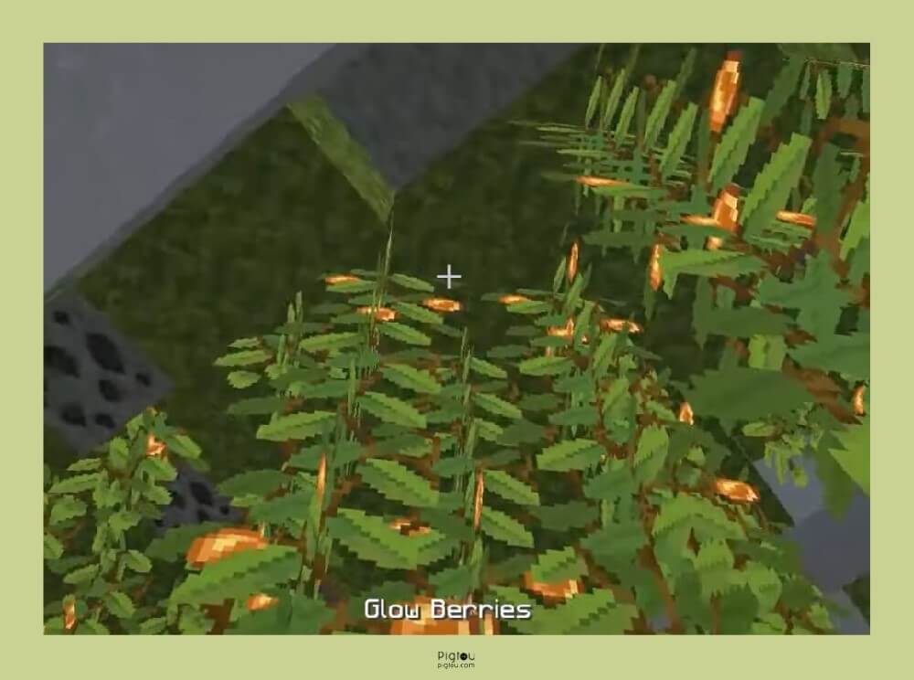 What are Minecraft glow berries