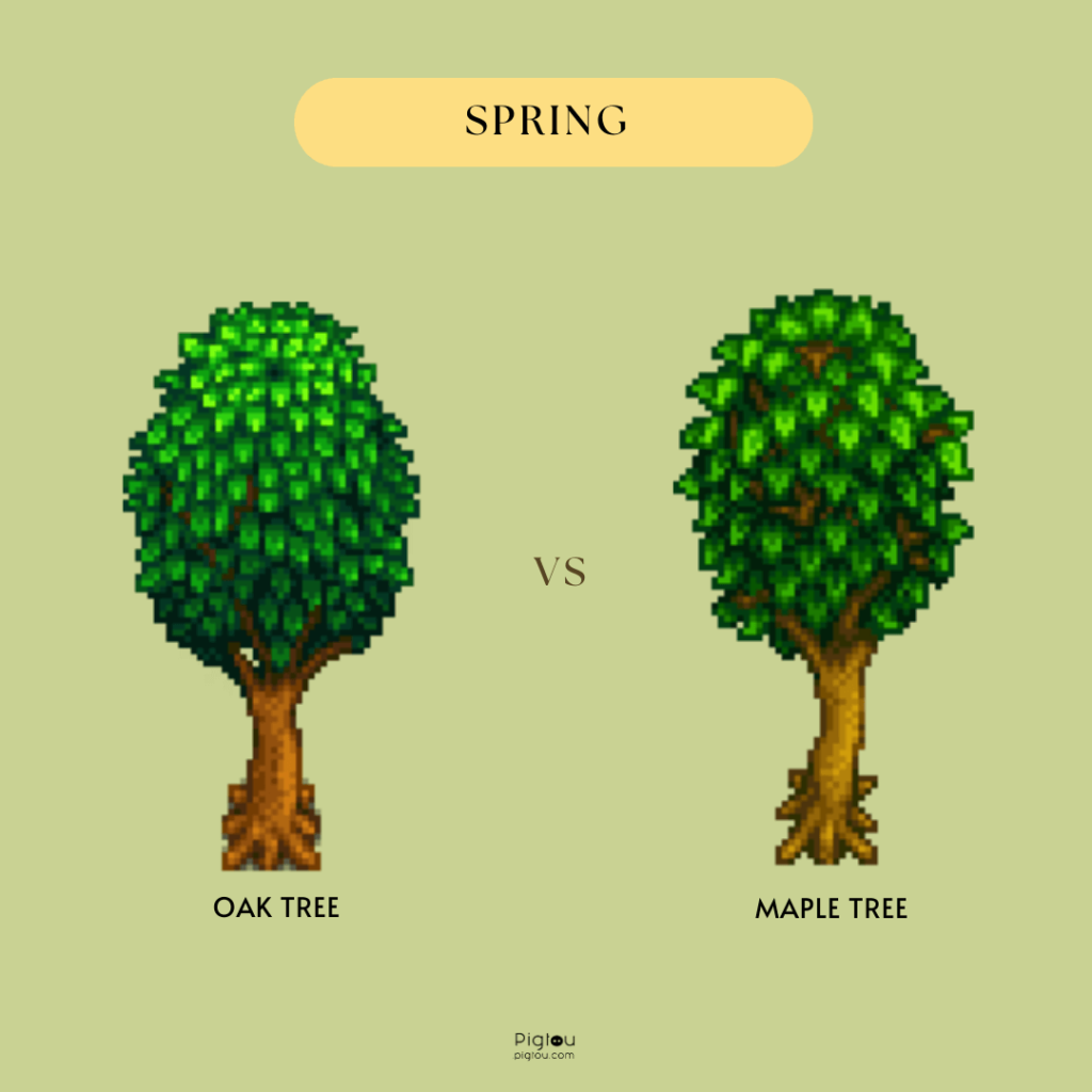 Oak Tree vs Maple Tree in Spring