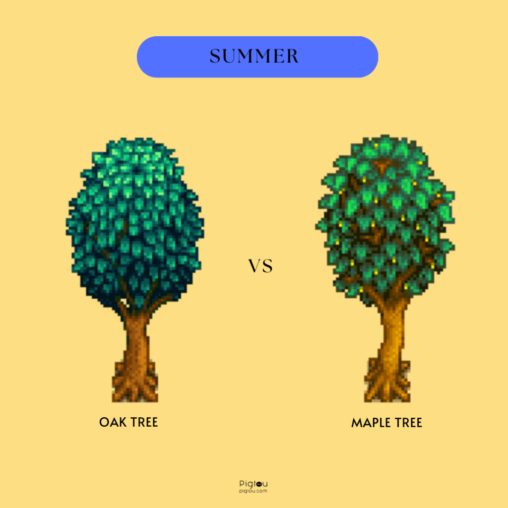 Oak Tree vs Maple Tree in Summer