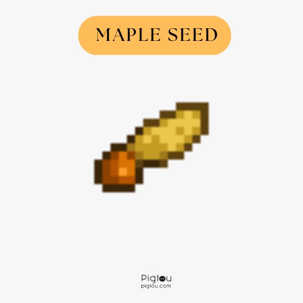 Maple seed
