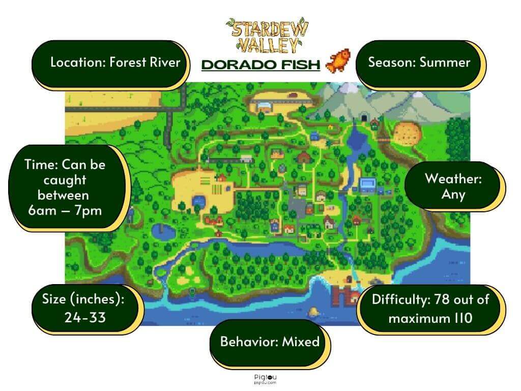 Where and When to Find Dorado Fish