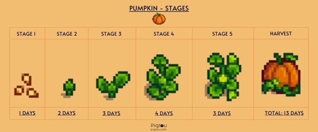 Pumpkin growth stages
