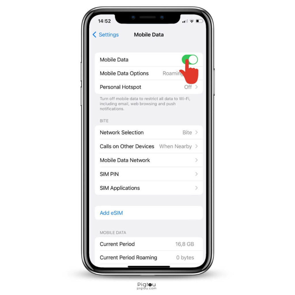 Turn on cellular or mobile data on Apple devices