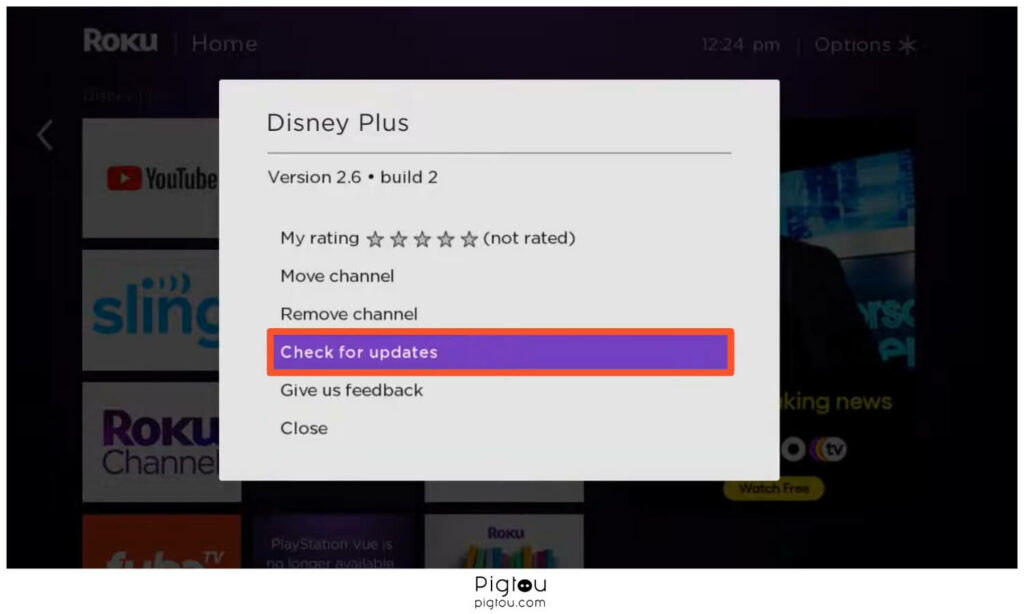 Check for a newer version of Disney Plus app on Roku