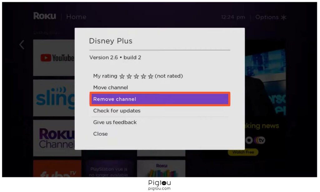 Remove Disney Plus channel on Roku