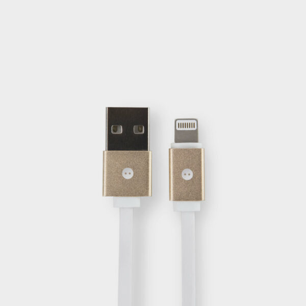 Retractable charging cable for iPad